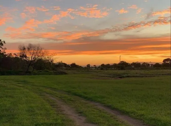 Il Sotto Nido Lägenhet